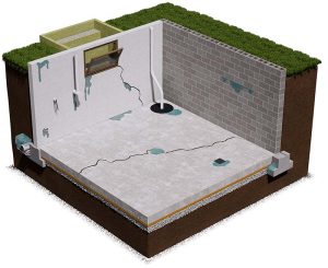 basement 07.jpg