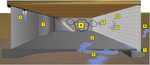 basement 22.webp