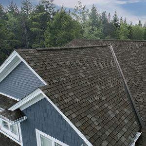 roof3.jpg